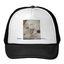 Chapeau ennuyé de chien casquette de camionneur