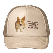Chapeau heureux de corgi de Gallois de Pembroke Casquette