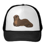 Chapeau heureux de loutre casquettes de camionneur