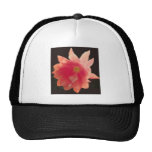 Chapeau orange d'Epiphyte Casquette De Camionneur