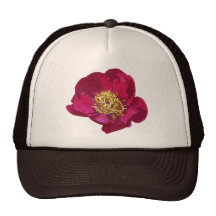 Chapeau rouge de pivoine casquette
