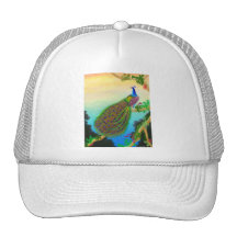 Chapeau vert exotique de paon casquettes