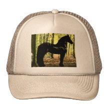 Chapeaux frisons de forêt casquette