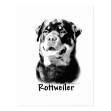 Charbon de bois de rottweiler carte postale