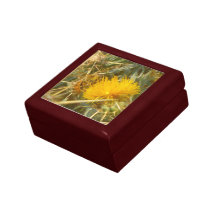 Chardon d'abeille et d'étoile (solstitialis de Cen Coffrets Cadeaux