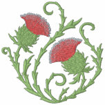 Chardon écossais