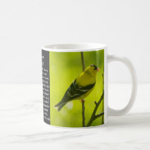 Chardonneret américain tasse à café