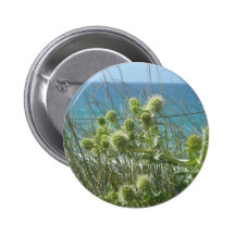 chardons badges
