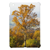 Chargez l'arbre