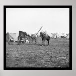 Chariot de l'équipement du photographe dans le por posters