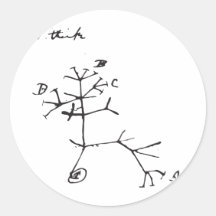 Charles Darwin - je pense (le noir) Autocollants