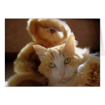 chat 10102 avec l'ours de nounours cartes de vœux