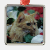 chat à Noël Décorations De Noël