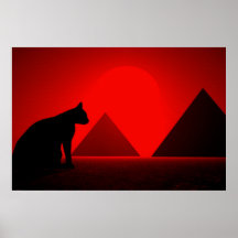 chat avant des pyramides posters
