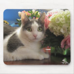 Chat avec le tapis de souris de fleurs