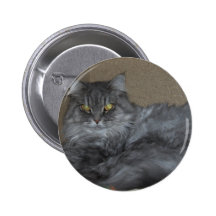 Chat Badge Avec Épingle