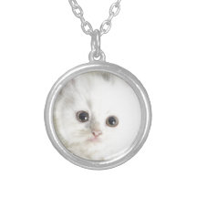 Chat blanc colliers personnalisés