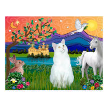 Chat blanc - terre d'imaginaire carte postale