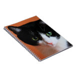 Chat Carnets