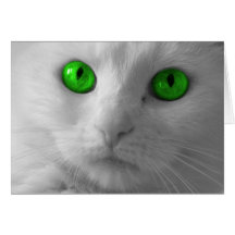 Chat Carte De Vœux