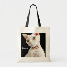 Chat Casper de Devon Rex de blanc du sac |
