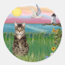 Chat (chat tigré) - phare adhésif