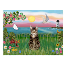 Chat (chat tigré) - phare cartes postales