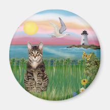 Chat (chat tigré) - phare magnets