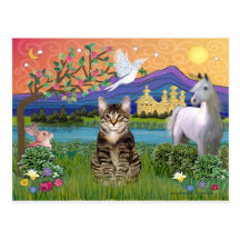 Chat - (chat tigré) - terre d'imaginaire cartes postales