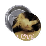 Chat d'amour badges avec agrafe