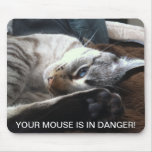 Chat - danger de souris tapis de souris