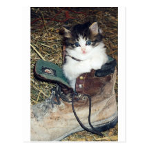 Chat dans la botte carte postale