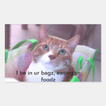 Chat dans le sac autocollants