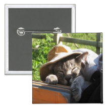 Chat dans un bouton de chapeau badge