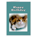 Chat de calicot de joyeux anniversaire carte de vœux