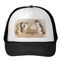 Chat de cartographe et trois chatons casquette