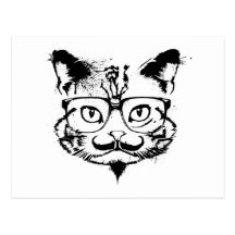 Chat de culture carte postale