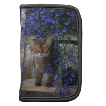 Chat de fleur agenda folio
