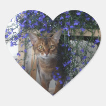 Chat de fleur autocollant