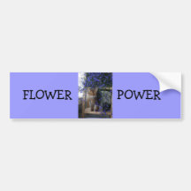 Chat de fleur autocollants pour voiture