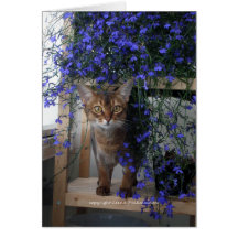 Chat de fleur cartes de vœux