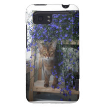 Chat de fleur case HTC vivid / raider 4G