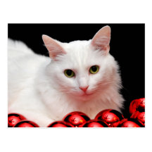 Chat de Noël Carte Postale