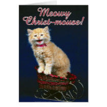 Chat de Noël cartes