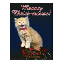 Chat de Noël Cartes Postales