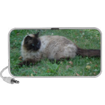 Chat de poupée de chiffon haut-parleurs notebook
