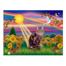 Chat de ragondin du Maine 10 - automne Sun Cartes Postales