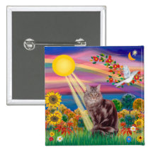 Chat de ragondin du Maine 10 - automne Sun Pin's