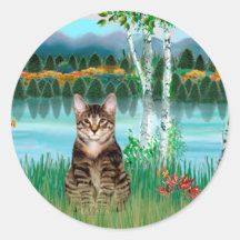 Chat de tigre tigré - bouleaux autocollants ronds