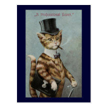 Chat de Tom habillé au Nines Cartes Postales